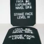 Ballistic protective plates